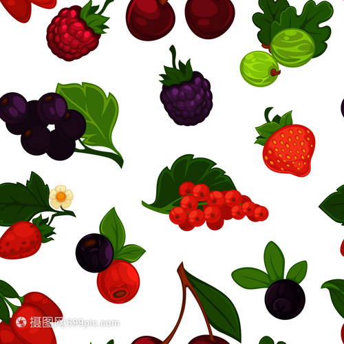 有机产品水果矢量元素 概念、特点与设计应用