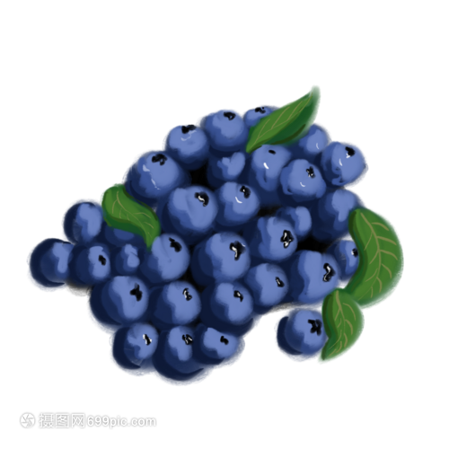 蓝莓 卡通插图中的营养小精灵