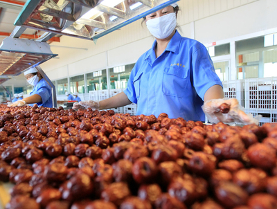 河南篇 果香四溢的中原滋味