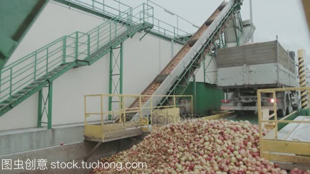 工业果汁厂 水果加工的科学与艺术